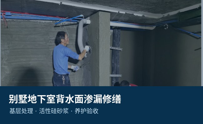 别墅地下室背水面渗漏修缮
